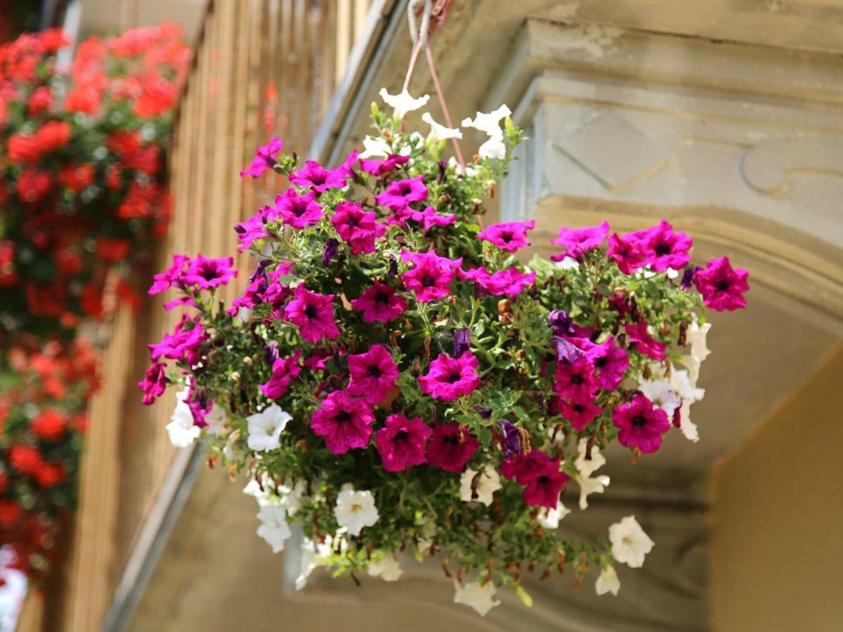 La Bella Dormiente B&B Castellamonte ภายนอก รูปภาพ